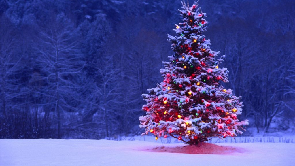 new_year_wallpapers_lonely_decorated_christmas_tree_in_the_forest_047669_