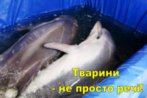 image170119