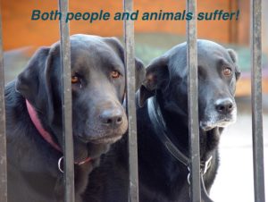 poorpets