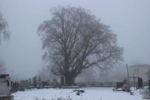 56242610_389507588268385_3721624363535958016_n