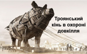 56739322_325445931502870_4810250916391288832_n