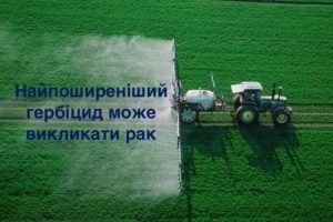 imag130619_1