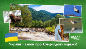 emerald_net0303