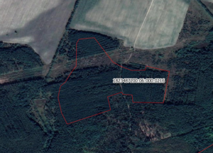 im03112021_5