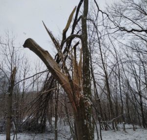 im04022022_4