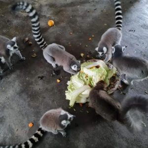 274546989_2466054703529959_4970560218302337129_n