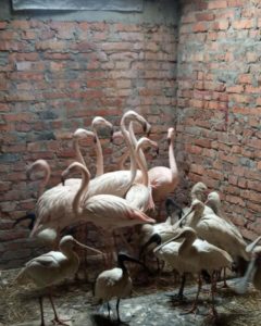 275133056_2473344856134277_6751449370576057798_n