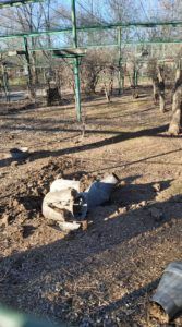 275616899_5021189711289905_7114534795543473830_n