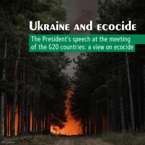 ecocide2311