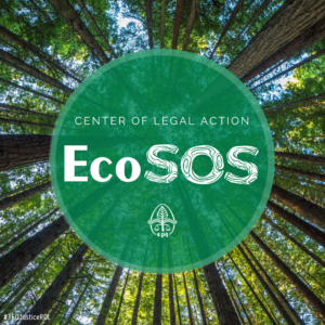 ecosos_eng2001