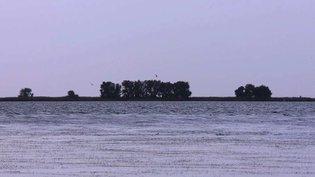 im100325_1