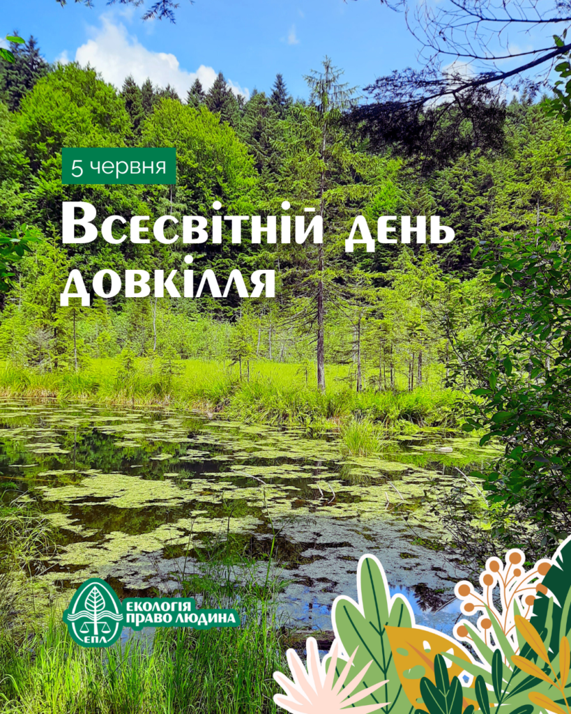 im050625_1