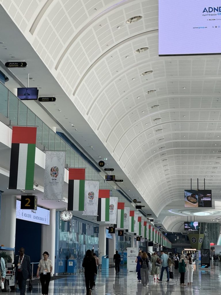 img_20251010_192041_931