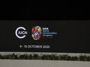 img_20251010_192047_939