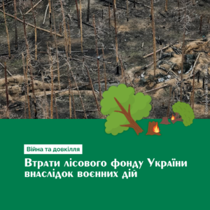 im090236_1