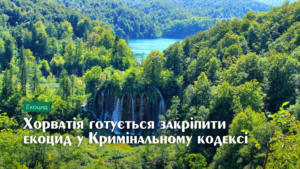cro0610