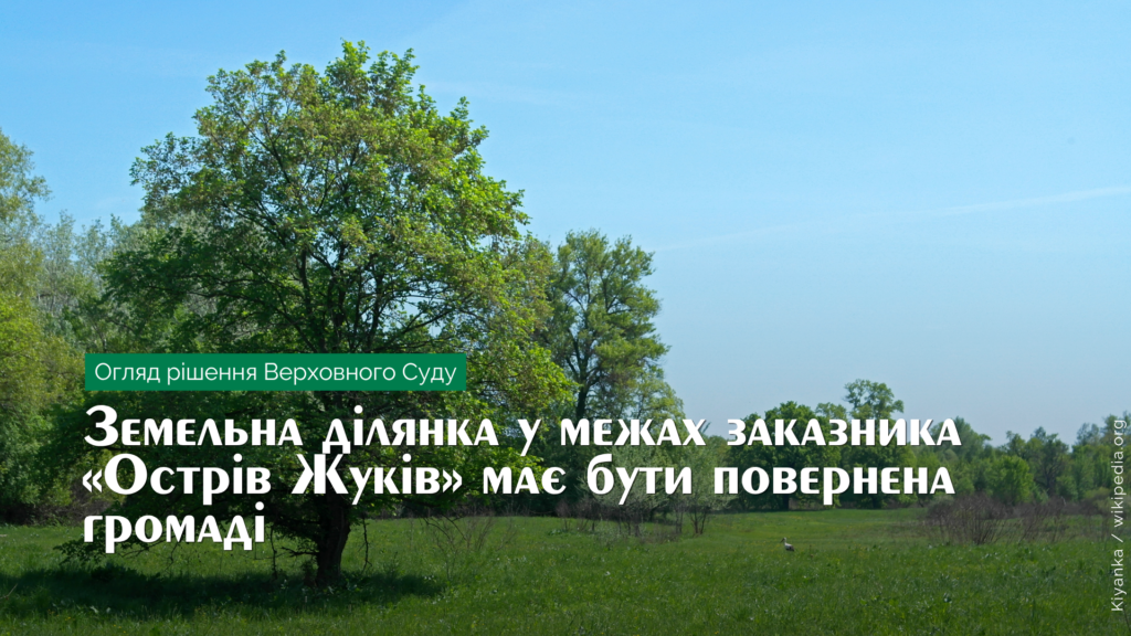 zhuk2310