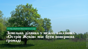 zhuk2310